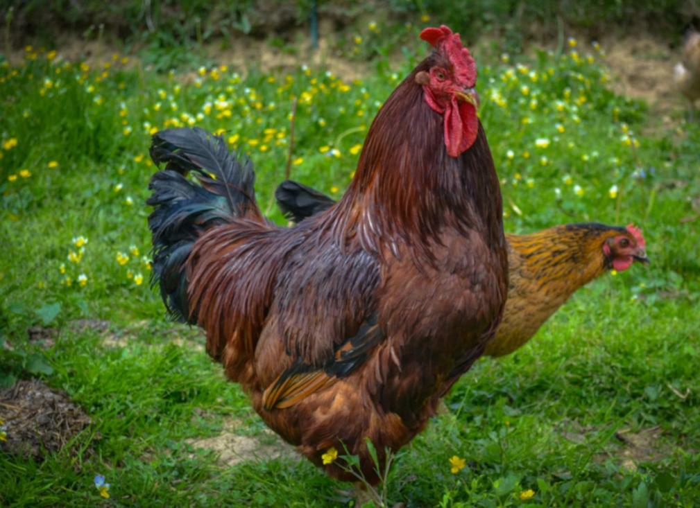 ブコビナ・タトシャンスカ Agrotatry U Stachyヴィラ エクステリア 写真