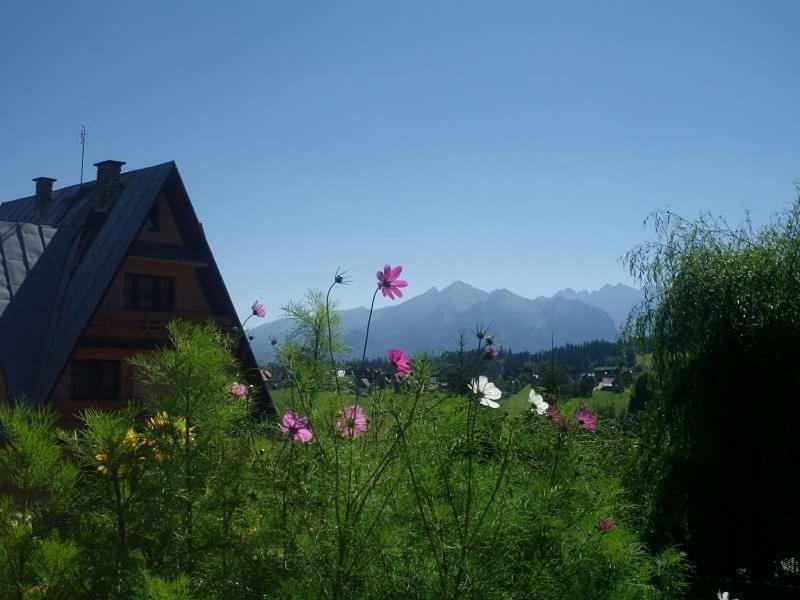 ブコビナ・タトシャンスカ Agrotatry U Stachyヴィラ エクステリア 写真