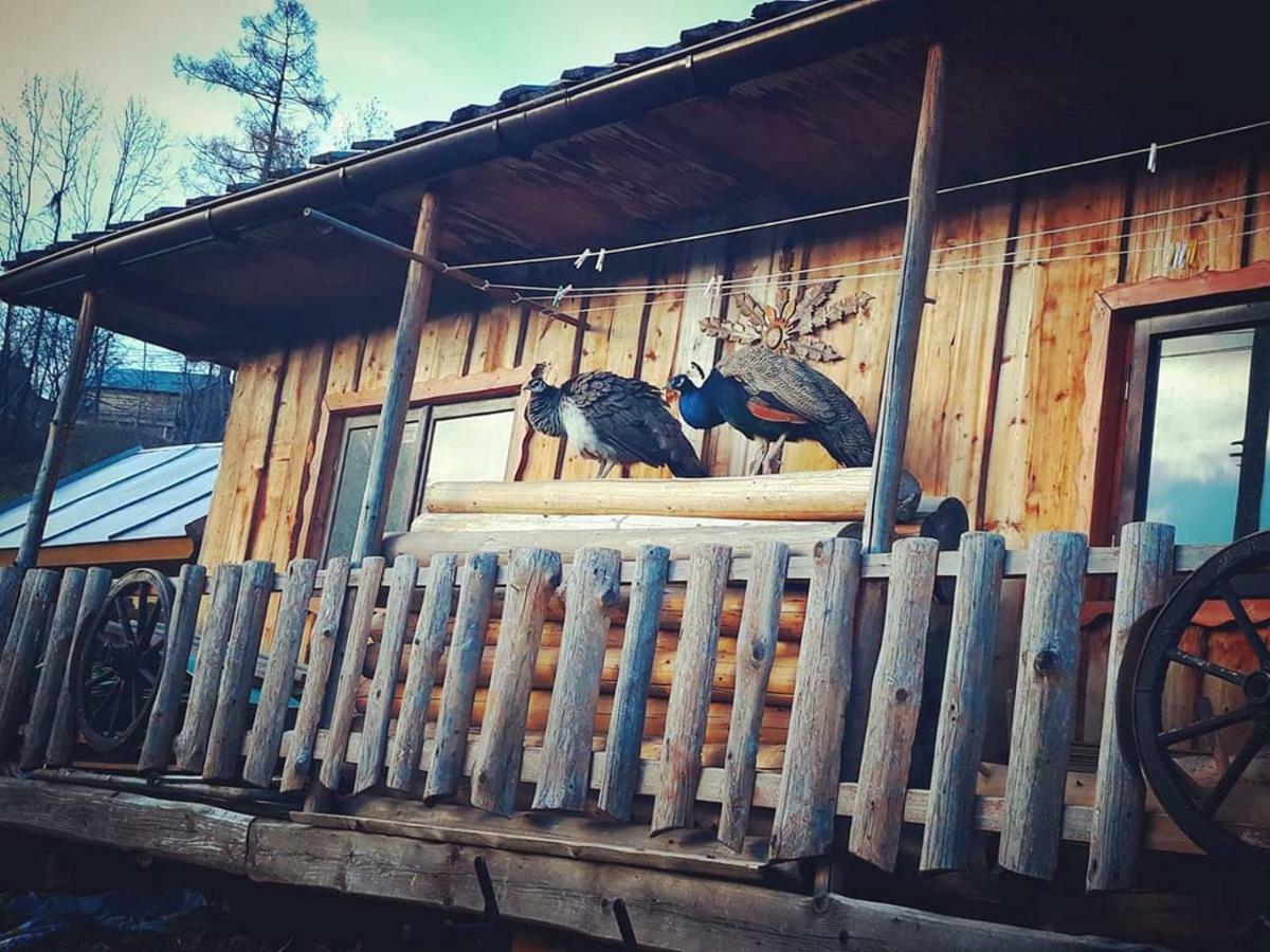 ブコビナ・タトシャンスカ Agrotatry U Stachyヴィラ エクステリア 写真